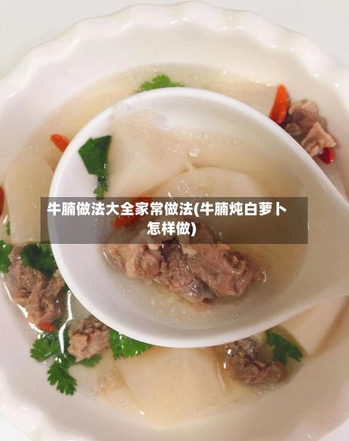牛腩做法大全家常做法(牛腩炖白萝卜怎样做)
