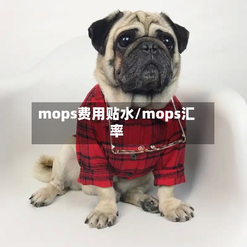 mops费用贴水/mops汇率