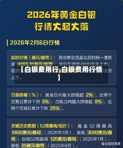 【白银费用行,白银费用行情】-第2张图片