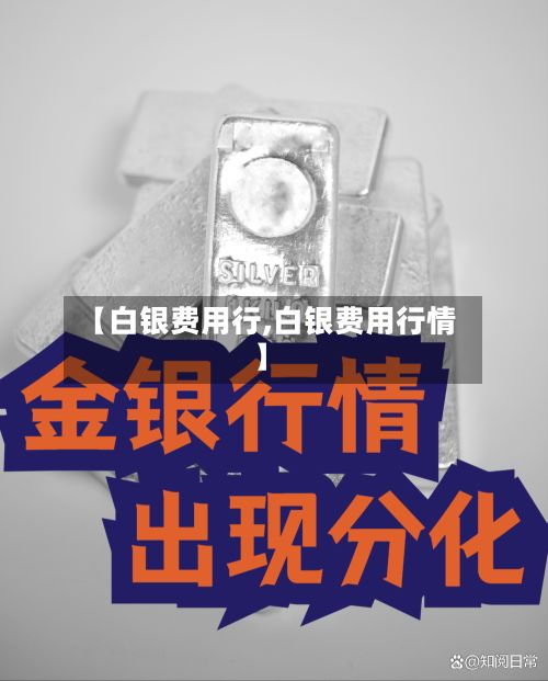 【白银费用行,白银费用行情】