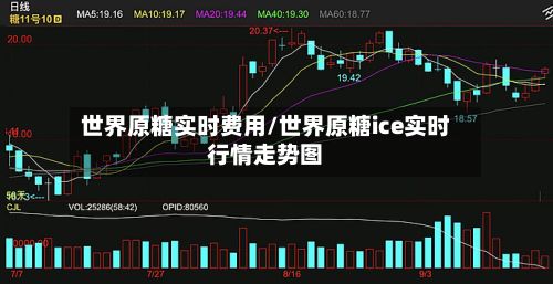 世界原糖实时费用/世界原糖ice实时行情走势图