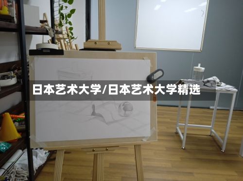 日本艺术大学/日本艺术大学精选-第3张图片