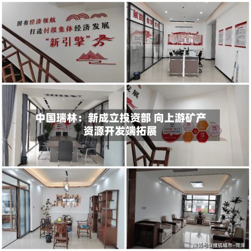 中国瑞林：新成立投资部 向上游矿产资源开发端拓展-第1张图片