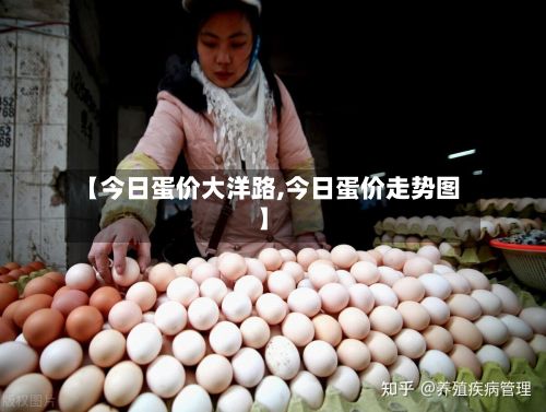 【今日蛋价大洋路,今日蛋价走势图】