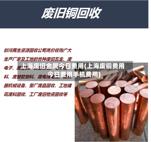 上海废旧金属今日费用(上海废铜费用今日费用手机费用)-第3张图片