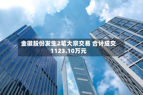 金徽股份发生2笔大宗交易 合计成交1123.10万元-第2张图片