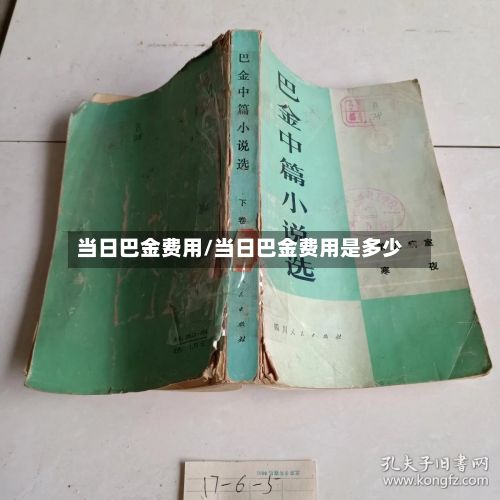当日巴金费用/当日巴金费用是多少