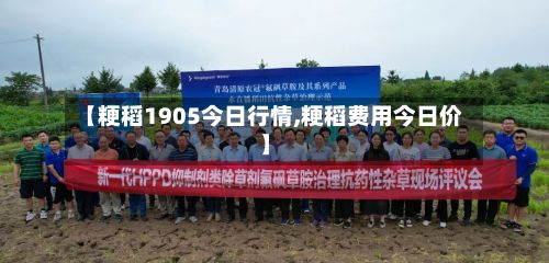 【粳稻1905今日行情,粳稻费用今日价】