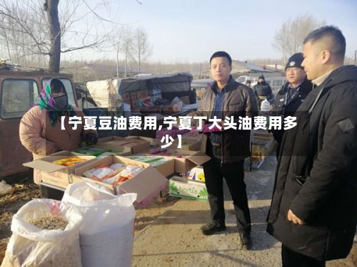 【宁夏豆油费用,宁夏丁大头油费用多少】-第2张图片