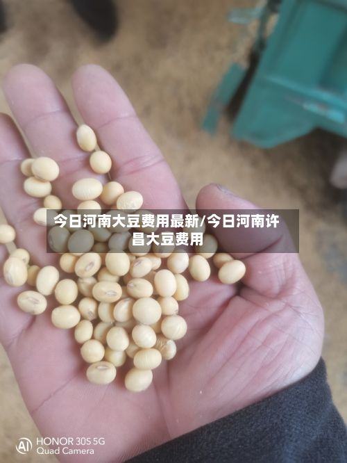 今日河南大豆费用最新/今日河南许昌大豆费用