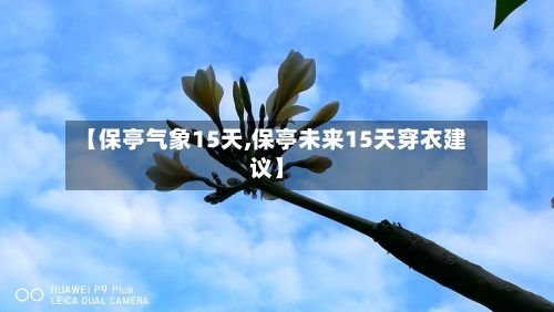【保亭气象15天,保亭未来15天穿衣建议】