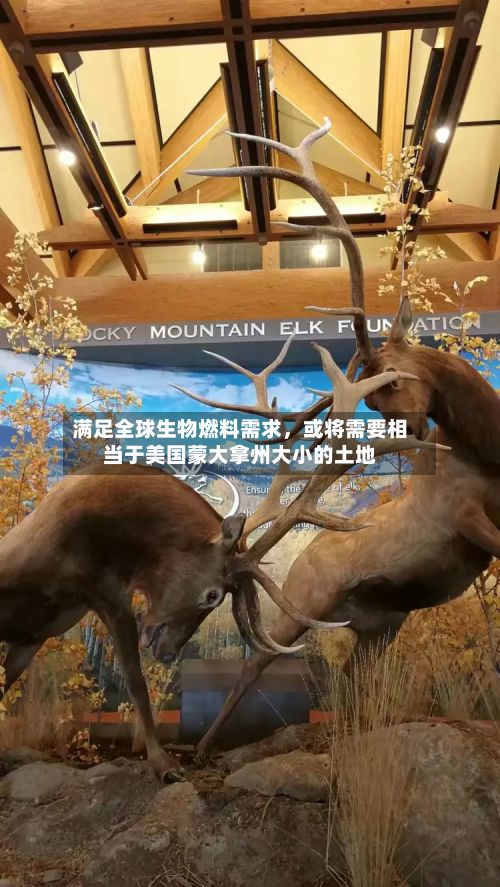 满足全球生物燃料需求，或将需要相当于美国蒙大拿州大小的土地-第3张图片