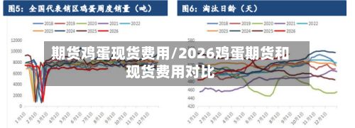 期货鸡蛋现货费用/2026鸡蛋期货和现货费用对比-第2张图片