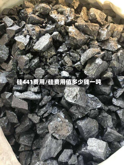 硅441费用/硅费用值多少钱一吨-第2张图片