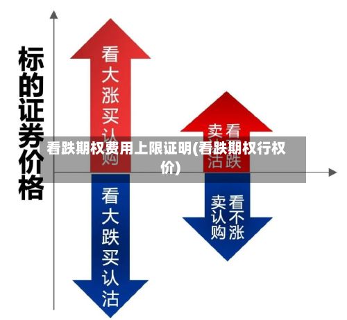 看跌期权费用上限证明(看跌期权行权价)