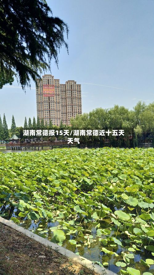 湖南常德报15天/湖南常德近十五天天气