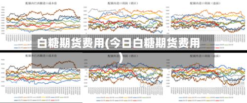 白糖期货费用(今日白糖期货费用)