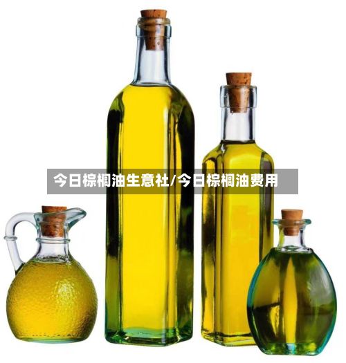 今日棕榈油生意社/今日棕榈油费用-第2张图片