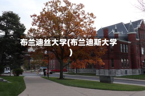 布兰迪丝大学(布兰迪斯大学)-第2张图片