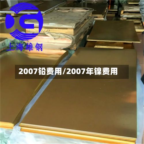 2007铅费用/2007年镍费用-第2张图片