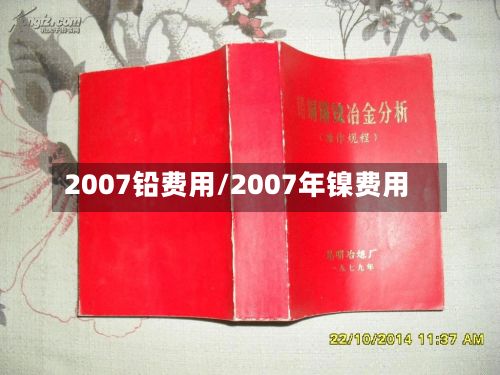 2007铅费用/2007年镍费用-第3张图片