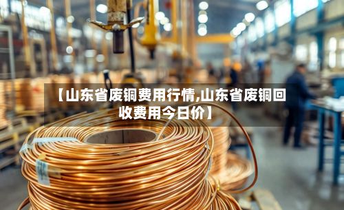 【山东省废铜费用行情,山东省废铜回收费用今日价】