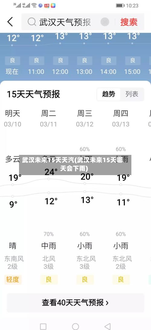 武汉未来15天天汽(武汉未来15天哪天会下雨)-第2张图片