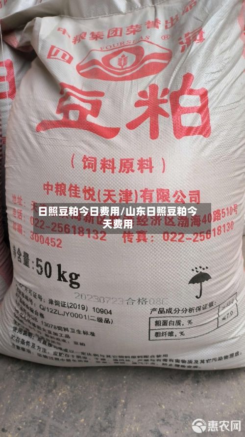 日照豆粕今日费用/山东日照豆粕今天费用-第2张图片