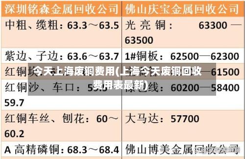 今天上海废铜费用(上海今天废铜回收费用表最新)-第3张图片