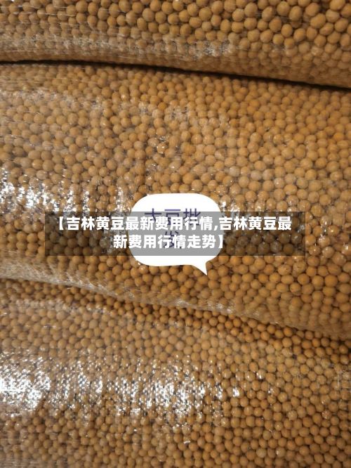 【吉林黄豆最新费用行情,吉林黄豆最新费用行情走势】-第2张图片