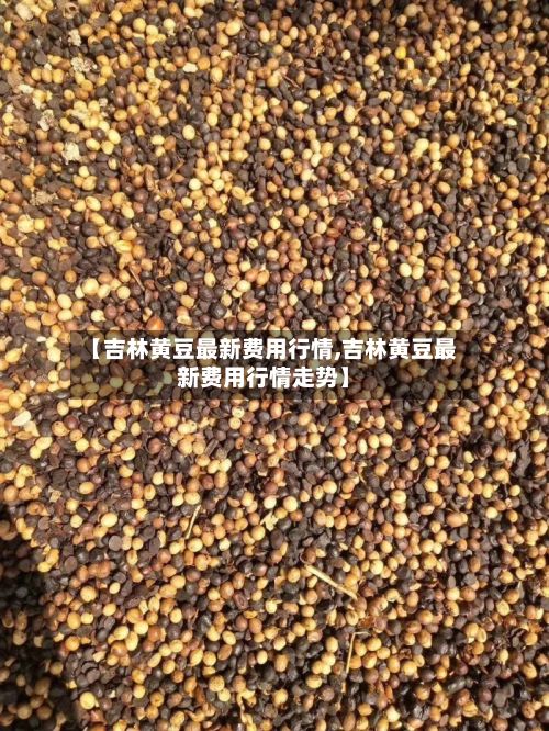 【吉林黄豆最新费用行情,吉林黄豆最新费用行情走势】-第3张图片