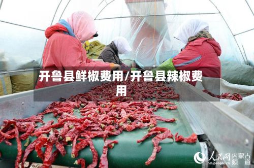 开鲁县鲜椒费用/开鲁县辣椒费用-第3张图片