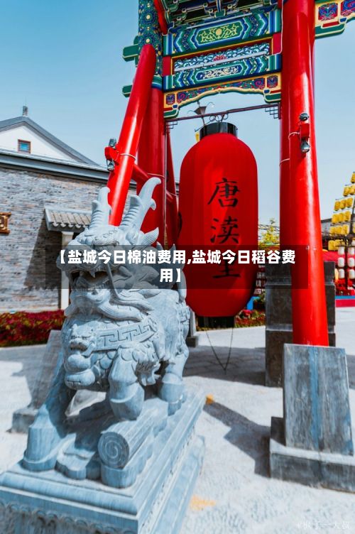 【盐城今日棉油费用,盐城今日稻谷费用】-第3张图片