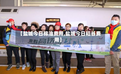 【盐城今日棉油费用,盐城今日稻谷费用】-第2张图片