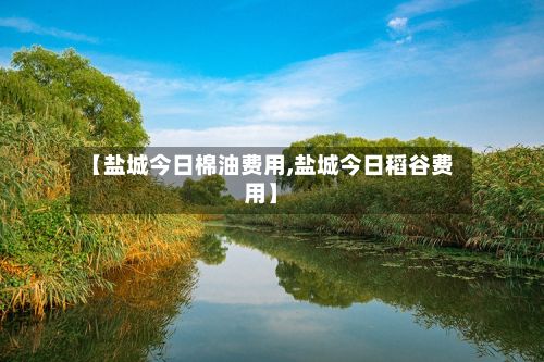 【盐城今日棉油费用,盐城今日稻谷费用】