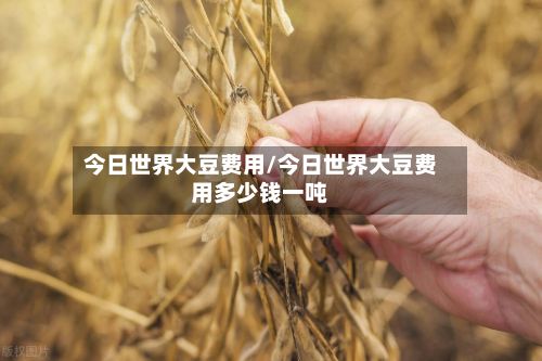 今日世界大豆费用/今日世界大豆费用多少钱一吨
