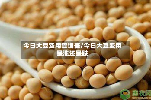 今日大豆费用查询表/今日大豆费用是涨还是跌