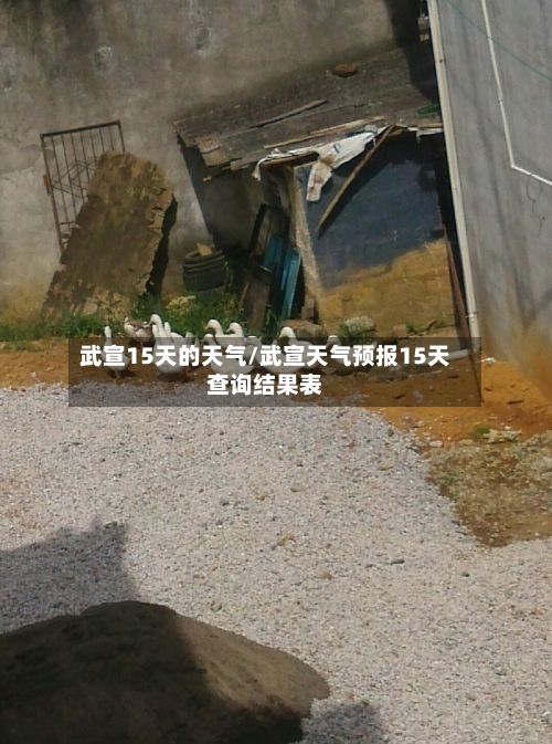 武宣15天的天气/武宣天气预报15天查询结果表