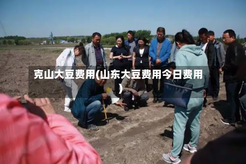 克山大豆费用(山东大豆费用今日费用)-第2张图片