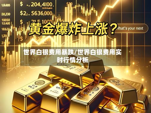 世界白银费用暴跌/世界白银费用实时行情分析-第3张图片