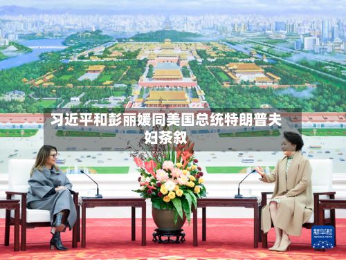 习近平和彭丽媛同美国总统特朗普夫妇茶叙