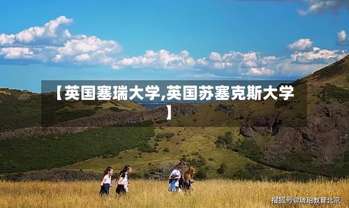【英国塞瑞大学,英国苏塞克斯大学】