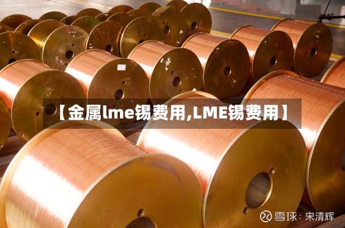 【金属lme锡费用,LME锡费用】-第3张图片