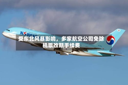 受东北风暴影响	，多家航空公司免除机票改期手续费-第3张图片