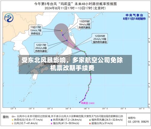 受东北风暴影响	，多家航空公司免除机票改期手续费-第2张图片