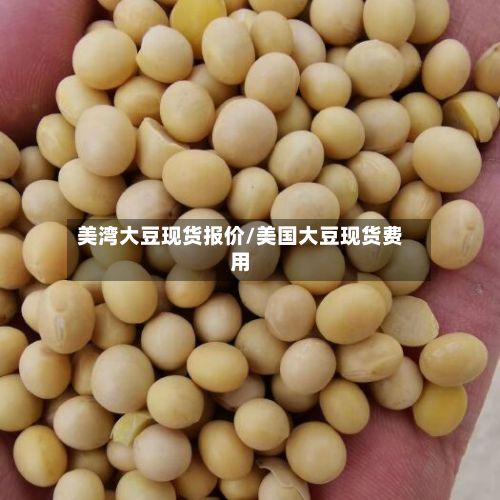 美湾大豆现货报价/美国大豆现货费用