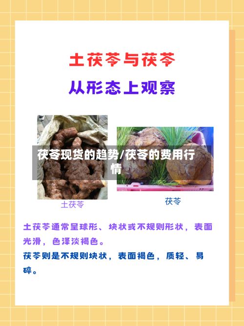 茯苓现货的趋势/茯苓的费用行情-第3张图片