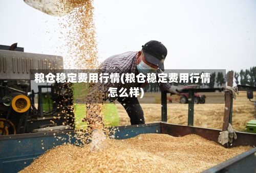 粮仓稳定费用行情(粮仓稳定费用行情怎么样)