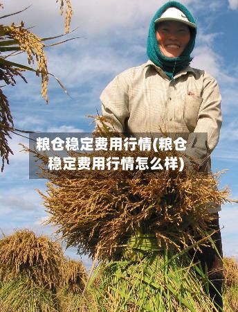 粮仓稳定费用行情(粮仓稳定费用行情怎么样)-第3张图片