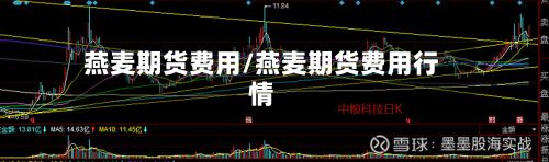燕麦期货费用/燕麦期货费用行情-第2张图片